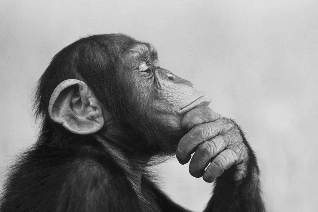 How are our opinions formed