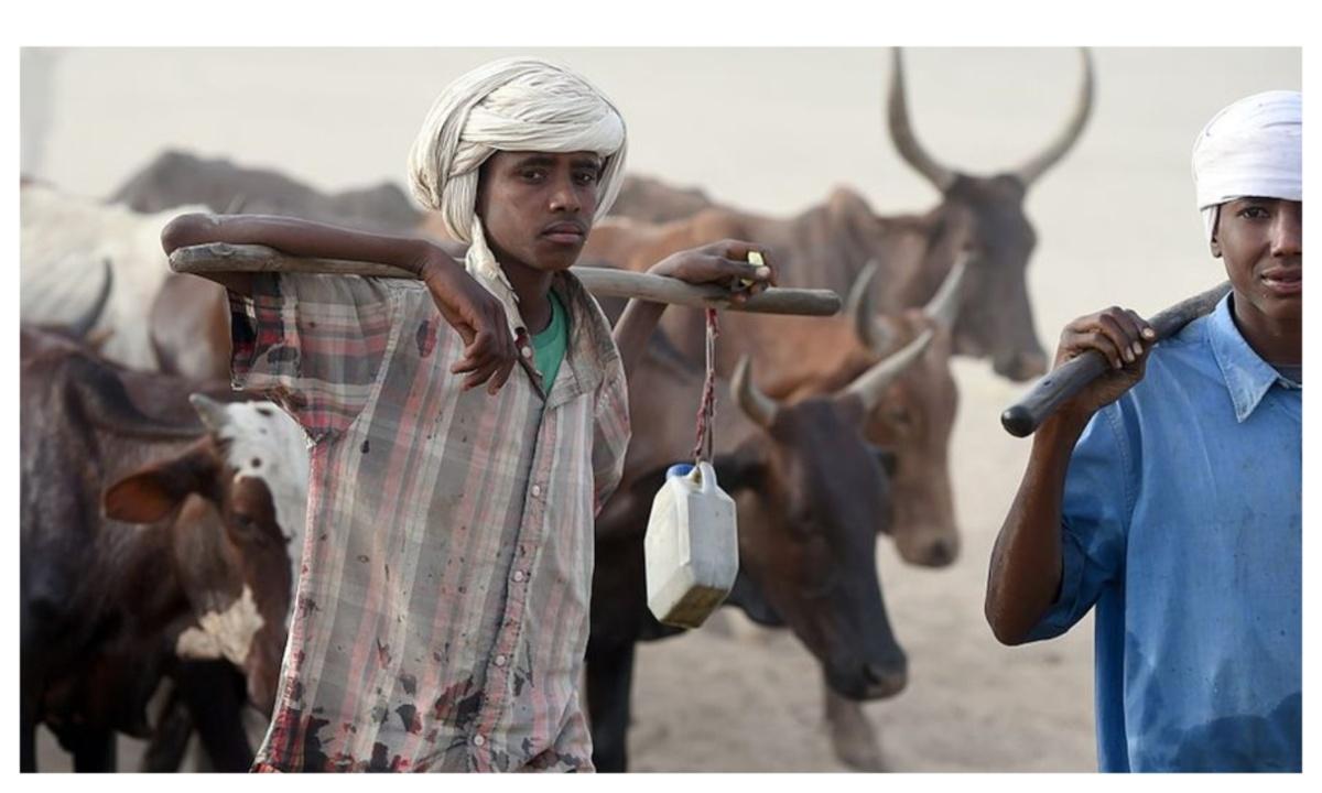 Benue herders crisis: How Agatu land was secretly ceded to ‘Indigenous’ Fulani herdsmen [Documents]