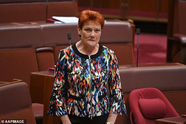 Sydney Muslims extend extraordinary offer for Pauline Hanson despite her 'no good Muslims' comment