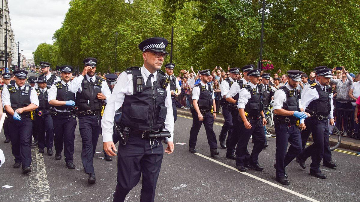 Transgender suspects CAN ask to be strip-searched by an officer of a different sex, High Court rules