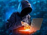 Websites go dark worldwide after critical flaws are exposed, putting 70% of sites at risk of attack