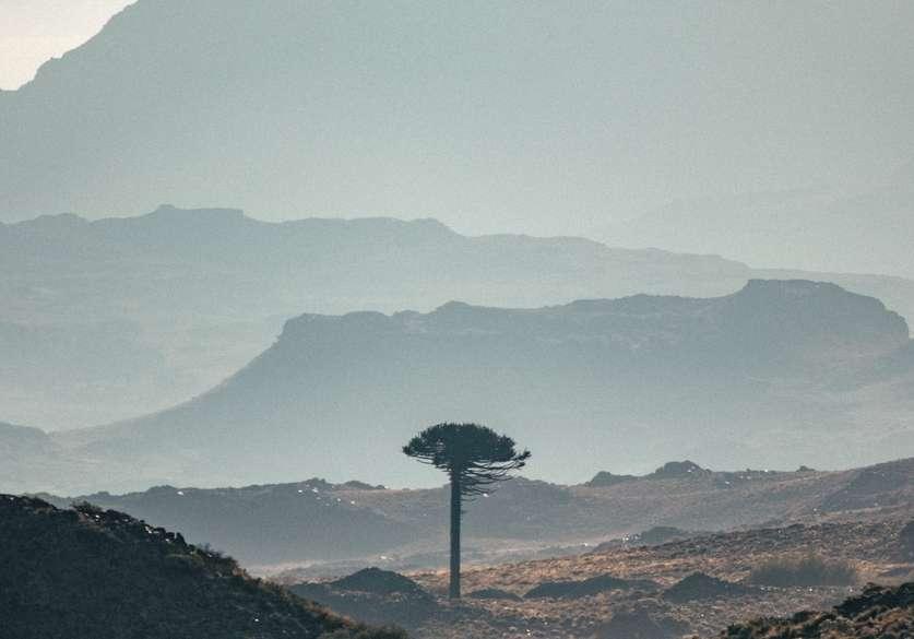 This is what happened on March 10.