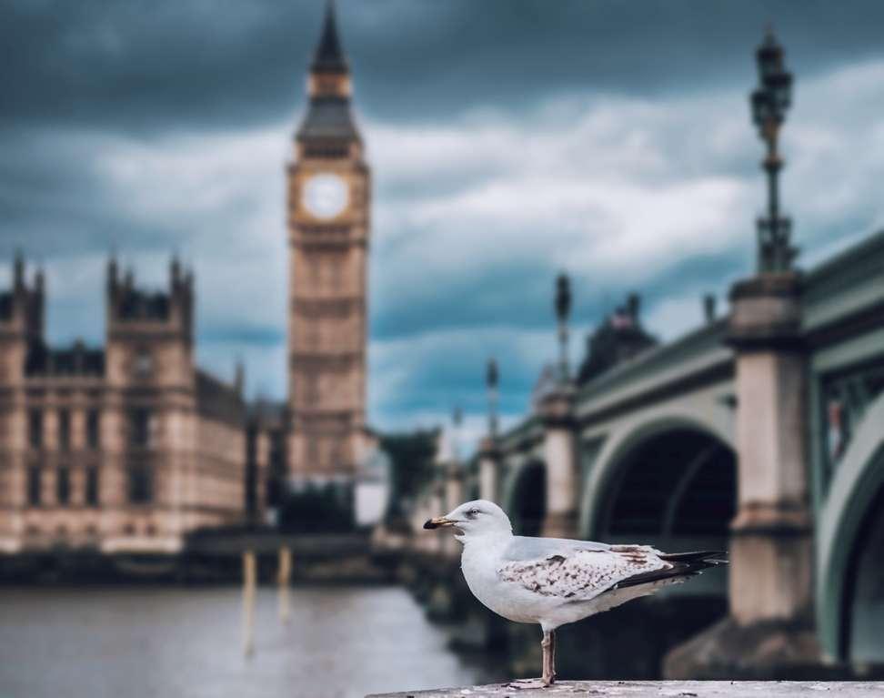 Model agency boss who 'scouted' victims for Epstein was secretly planning to testify against him... only to suddenly change his mind before meeting chillingly similar fate to notorious pedophile