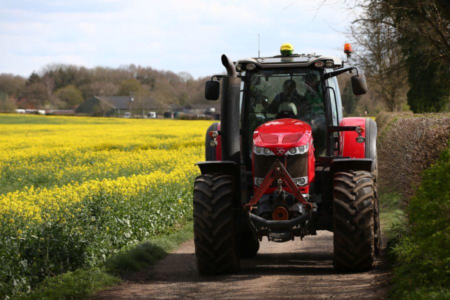 How regenerative farming could save rural Britain
