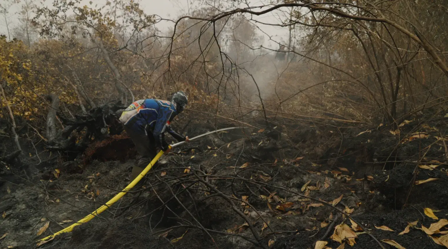Borneo burning: Life on the frontline of South East Asia's toxic haze