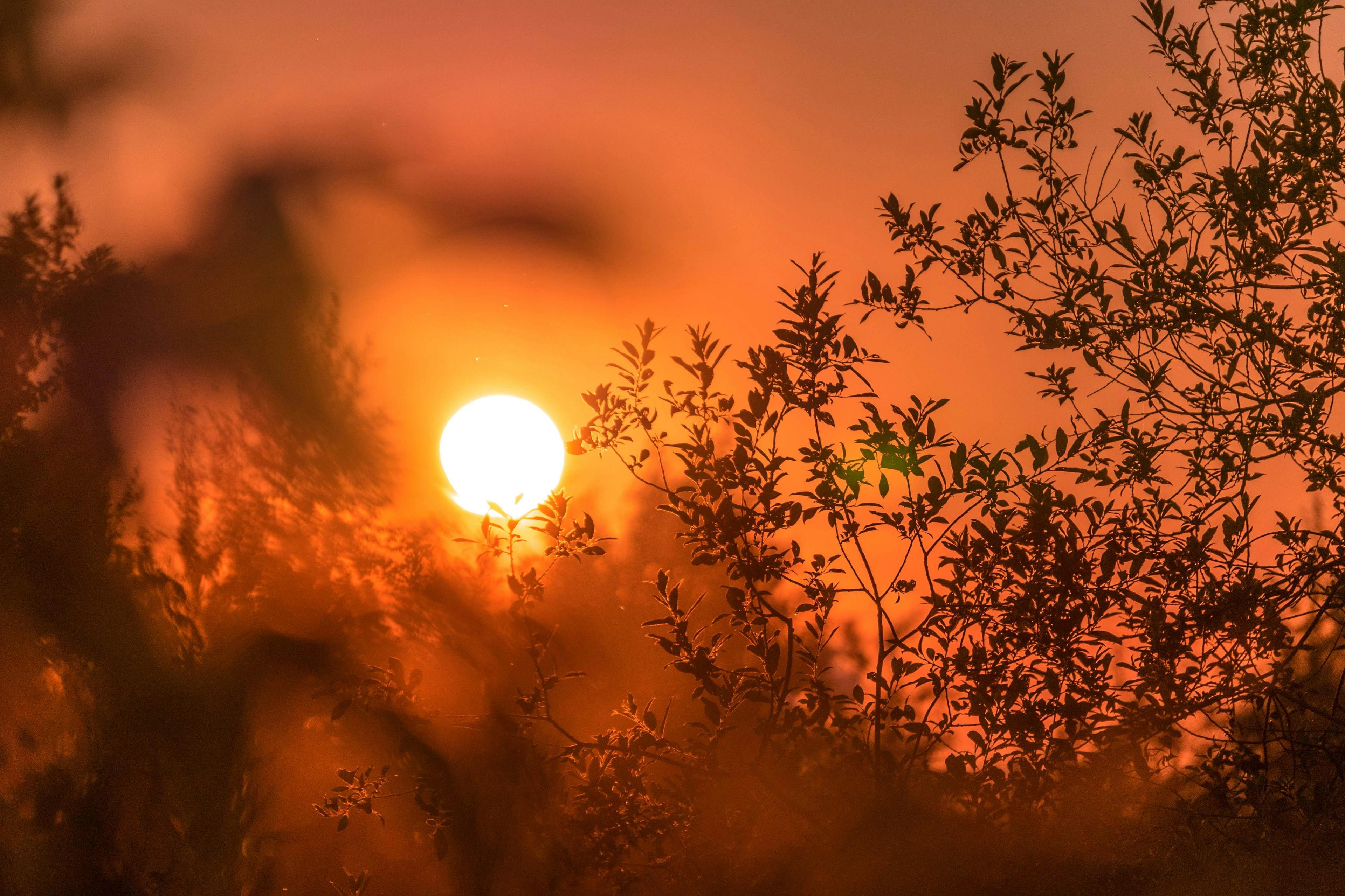 Global warming has already exceeded 1.5°C and could reach 2.8°C, warns UN