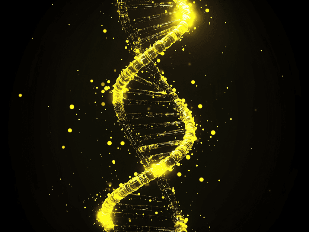 Genome-wide sweeps create ecological units in the human gut microbiome
